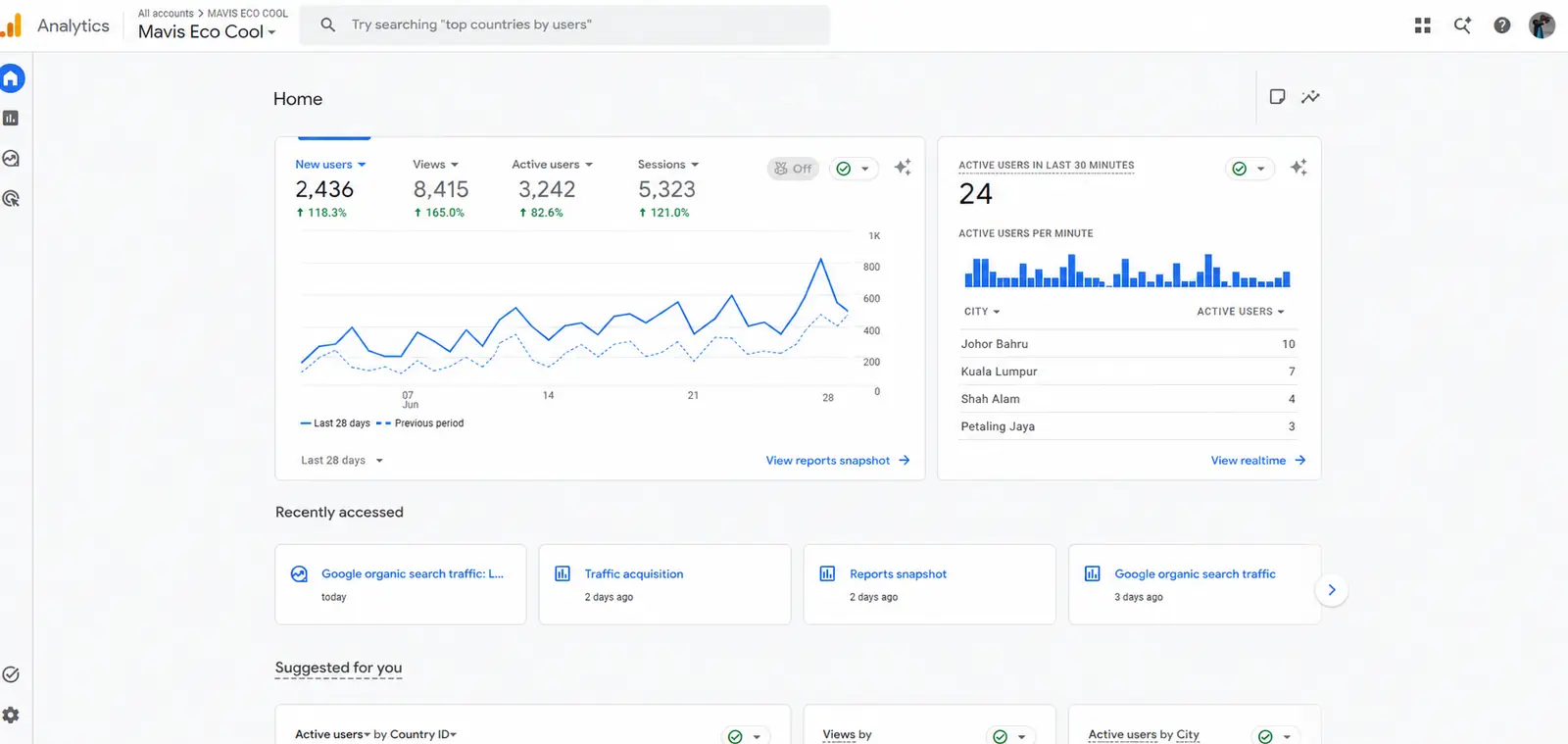 Mavis Eco Cool Google Analytics organic traffic report